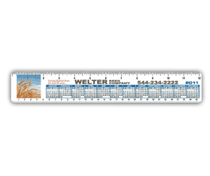 12 inch Plastic Ruler